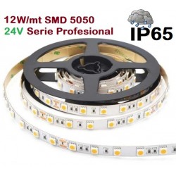 Tira LED Flexible 24V 12W/mt 60 Led/mt SMD 5050 IP65 Serie Profesional, Rollo 10 mts